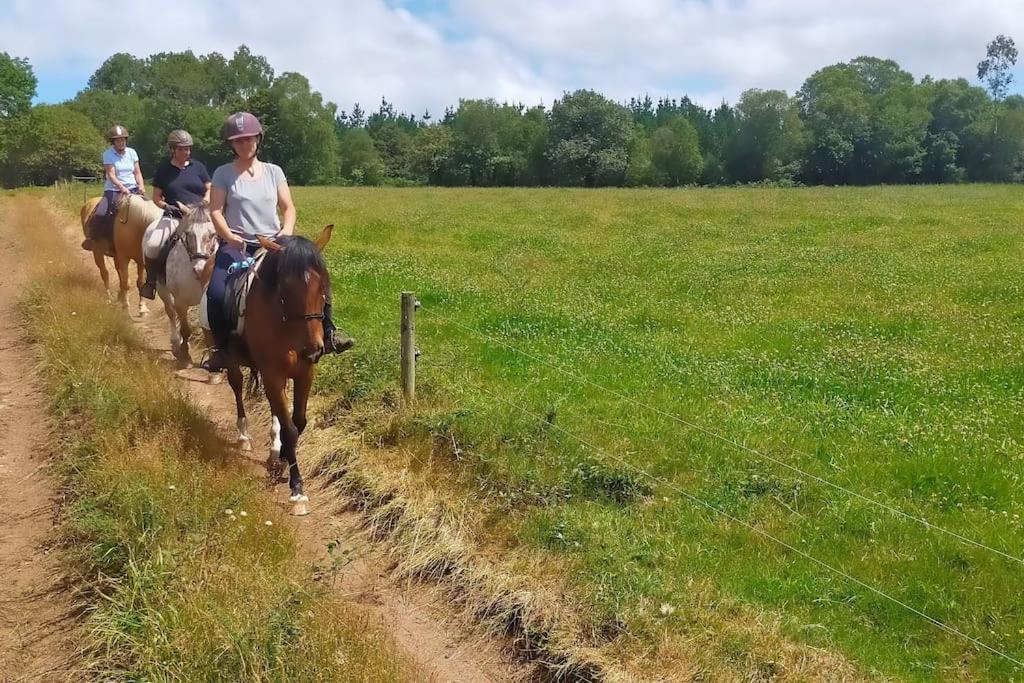 Granja Labrada: Alojamiento Con Caballos Manon Exterior photo