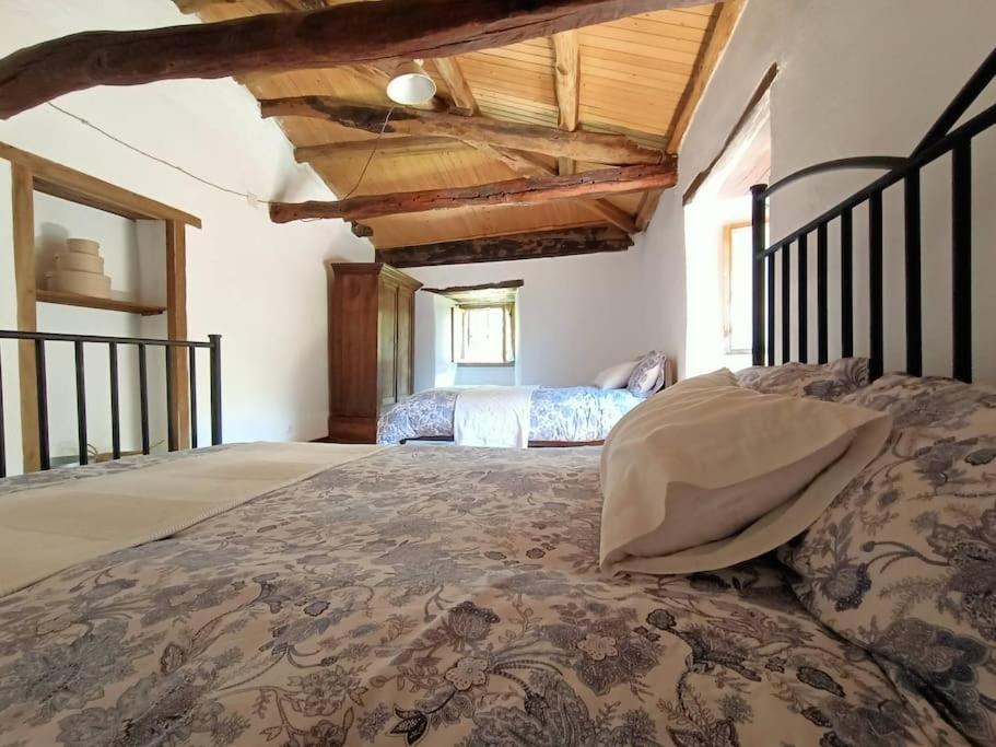 Granja Labrada: Alojamiento Con Caballos Manon Exterior photo