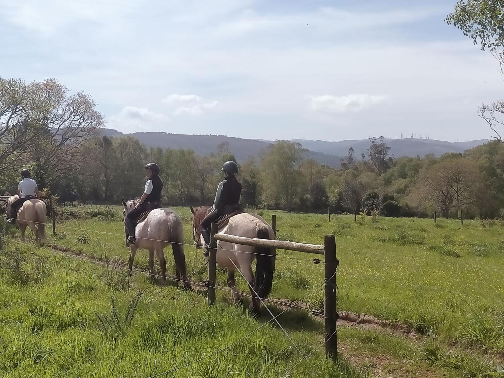 Granja Labrada: Alojamiento Con Caballos Manon Exterior photo