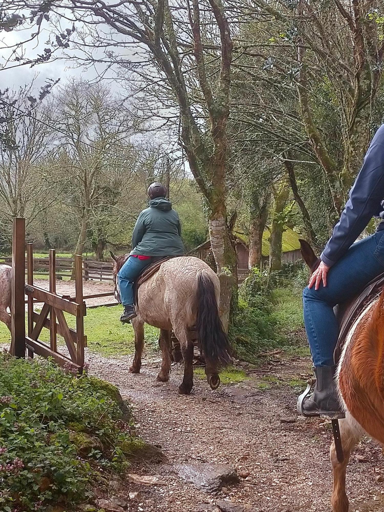 Granja Labrada: Alojamiento Con Caballos Manon Exterior photo